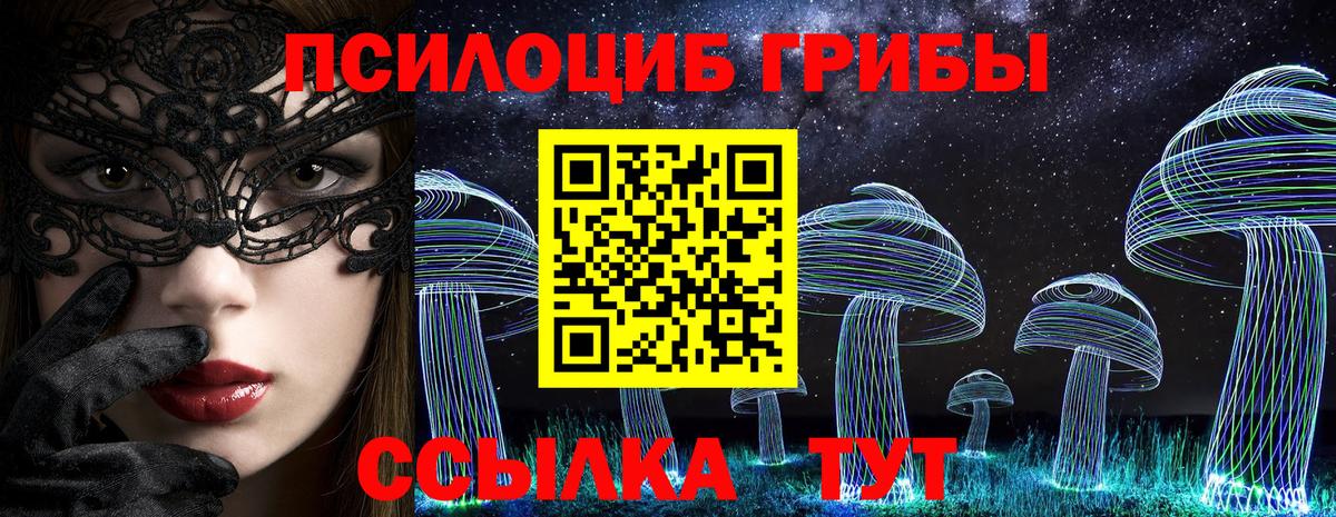 Псилоцибиновые грибы GOLDEN TEACHER Орёл